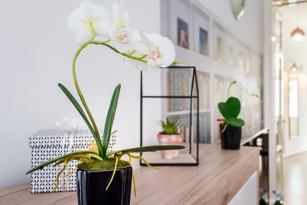 Bpr Purehome Apartment Budapest Eksteriør billede